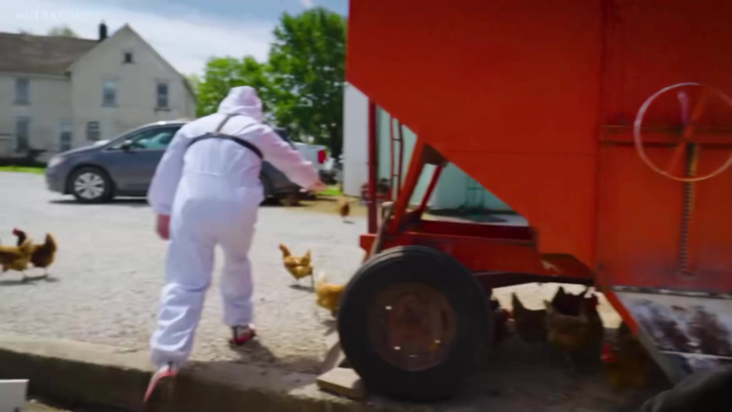 Viva La Stool: Farmer Terry https://t.co/DKmWnfy0U2