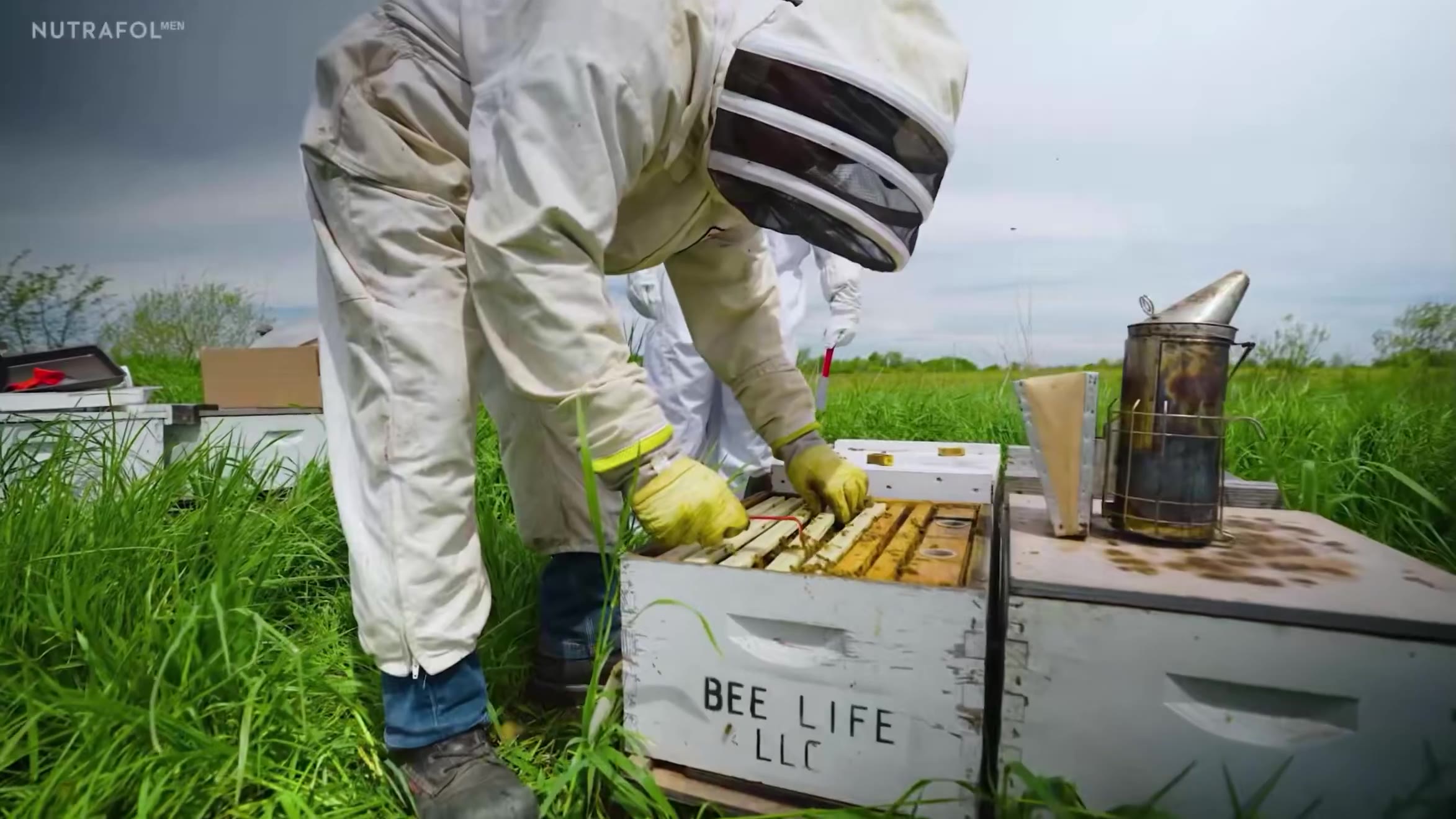 Stoolies Clubhouse 🏴‍☠️: That’s not how it works at all @Return_Of_RB…

Bees (not honey) are what pollinate the fruit trees which then can produc