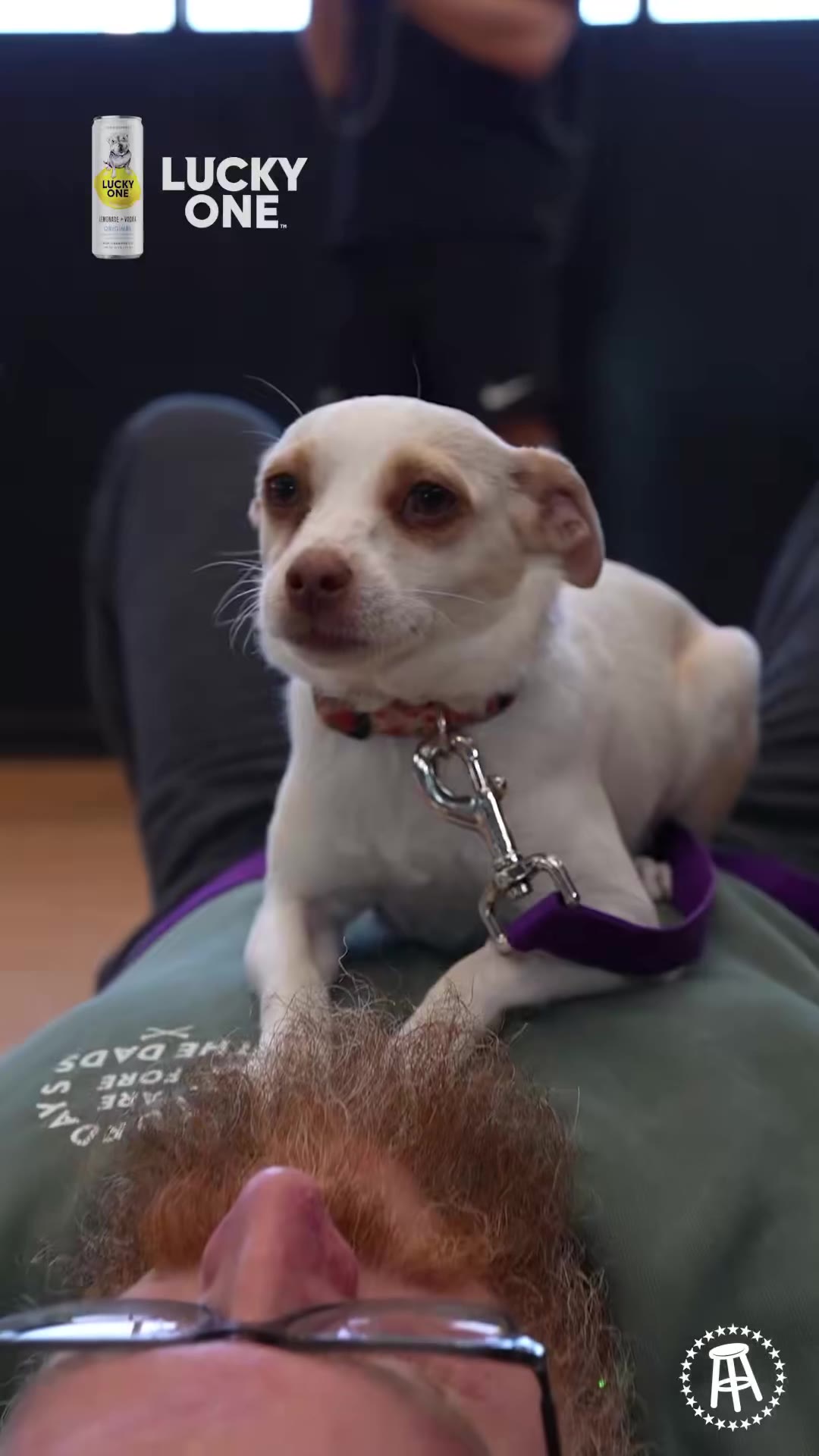 Viva La Stool: Wonton Don took some Barstool employees (one that may or may not be a dog guy) to try puppy yoga. https://t.co/0ValB4VLN