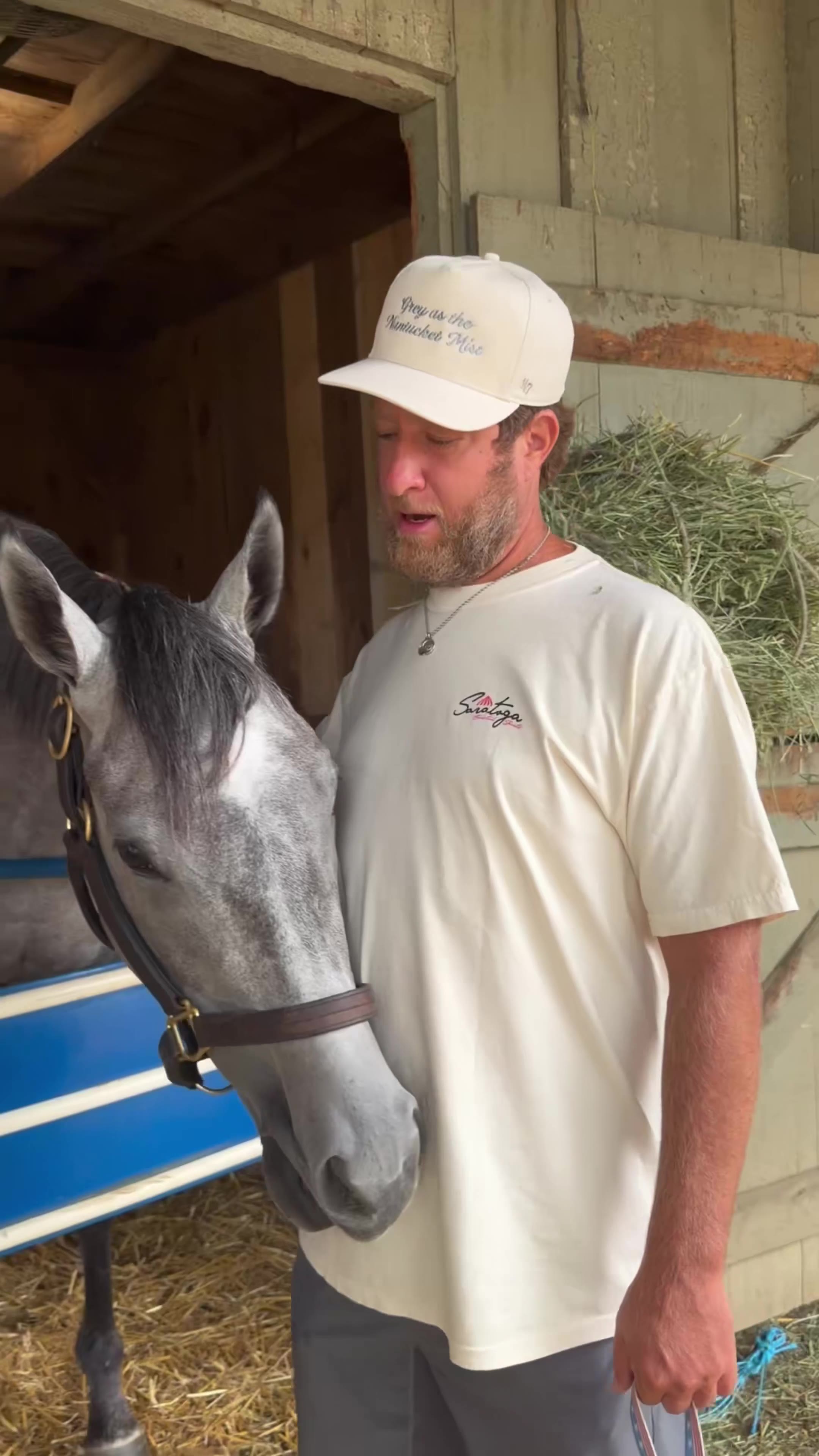 Dave Portnoy: Another #lovelygrey update   She’s feeling great!  #gogogreys https://t.co/k0zC8P7CUr