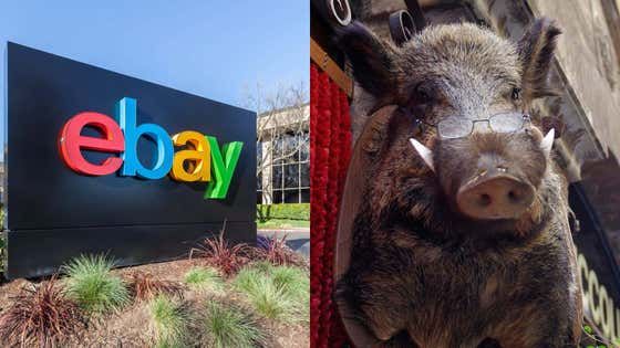 Barstool Sports: eBay agrees to pay $50M to blogging couple who they mailed cockroaches, spiders, and a bloody pig mask, to intimidate th