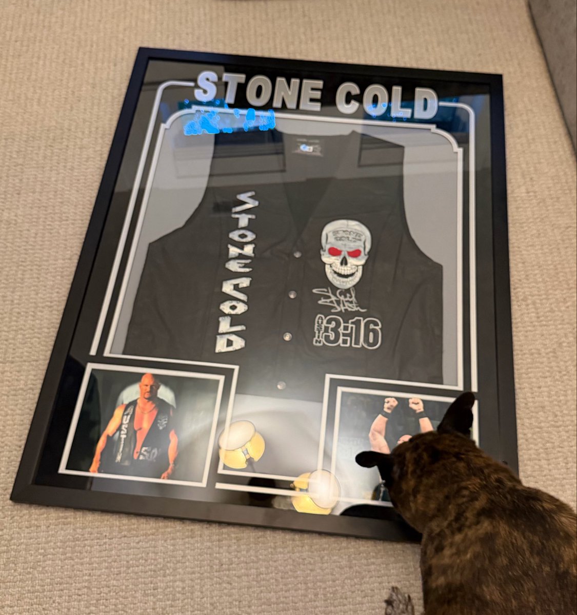 Big Cat: Picked up some fine art at the National https://t.co/SYx4zjWkco