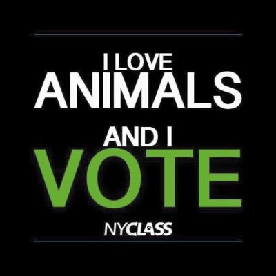 NYCLASS